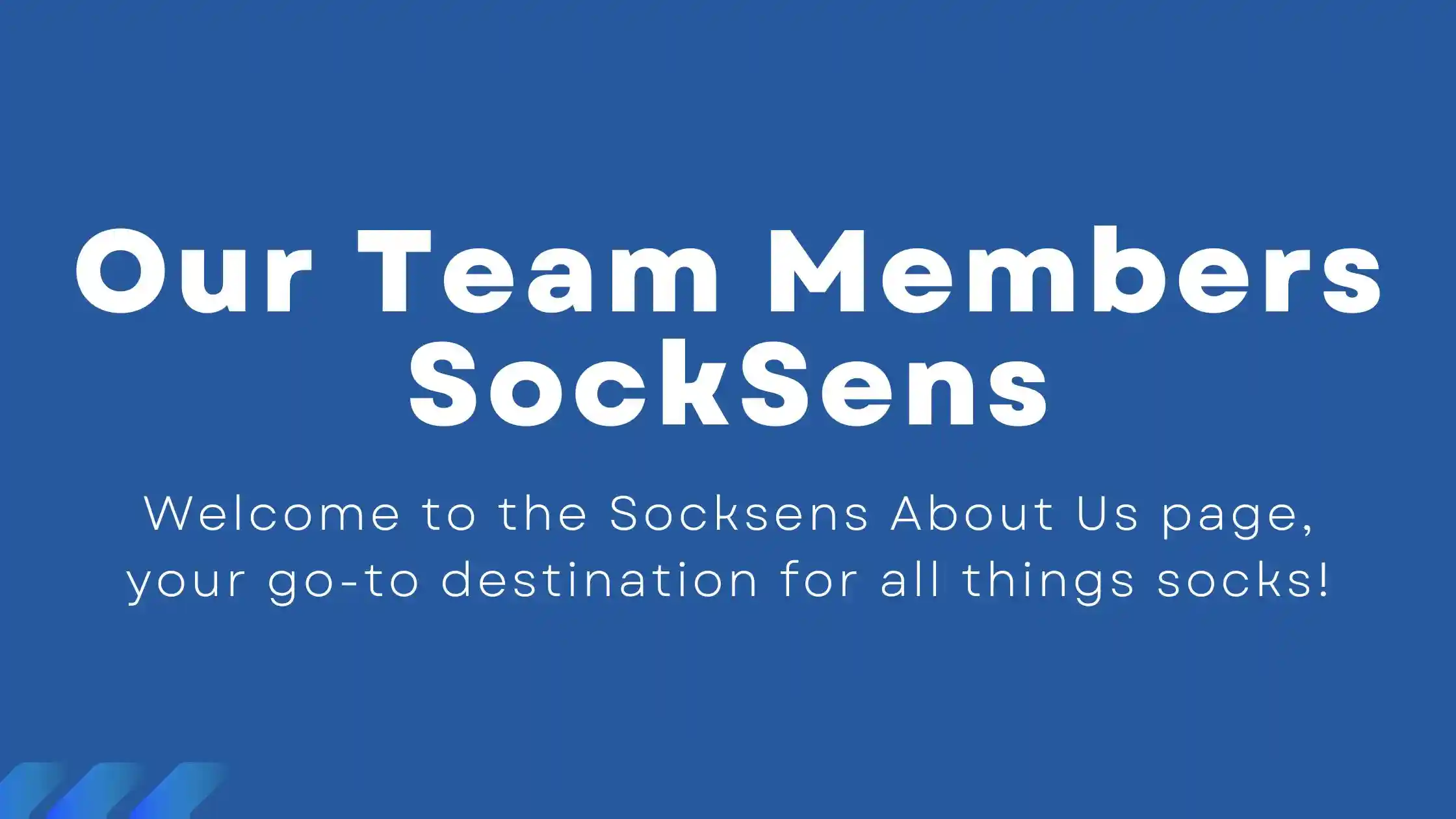 Our Team Members at SockSens - USA Sock Blogging Experts